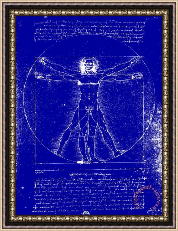 Leonardo da Vinci Vitruvian Blueprint Framed Painting