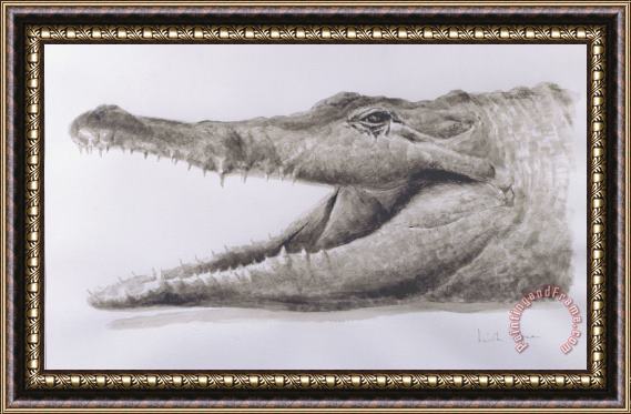 Lincoln Seligman Crocodile Framed Print