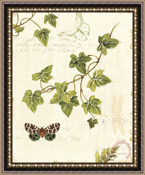 Lisa Audit Ivies And Ferns II Framed Painting