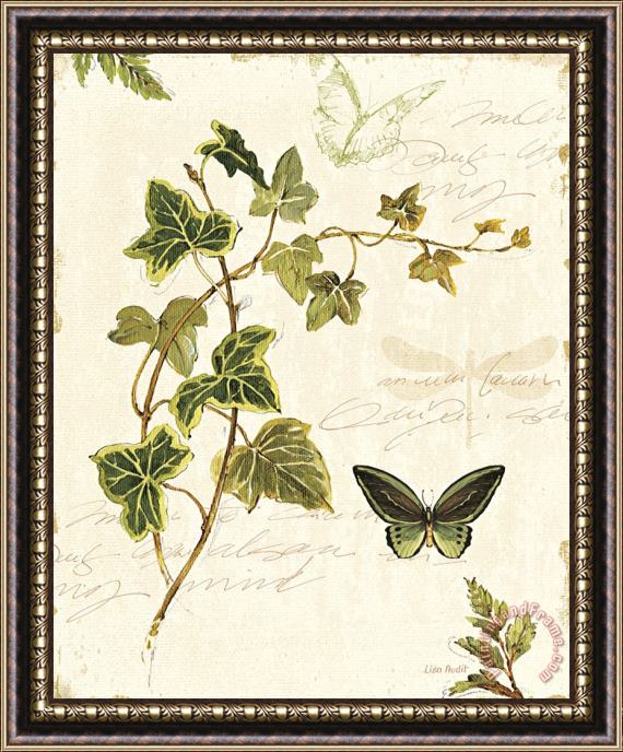 Lisa Audit Ivies And Ferns Iv Framed Painting