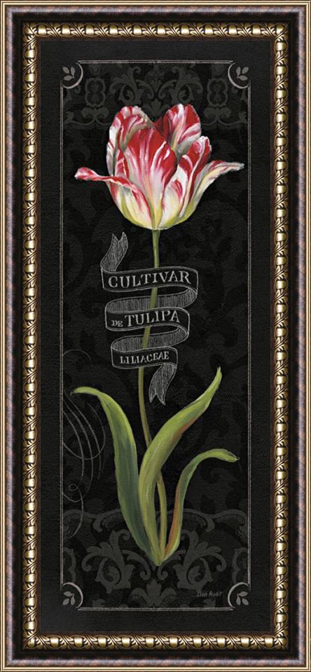 Lisa Audit Tulipa Botanica III Framed Print