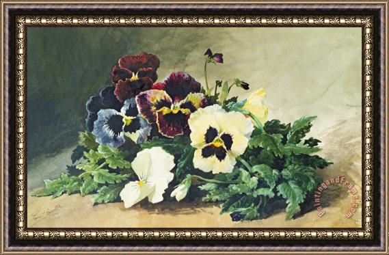 Louis Bombled Winter Pansies Framed Painting