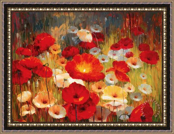 Lucas Santini Meadow Poppies I Framed Print