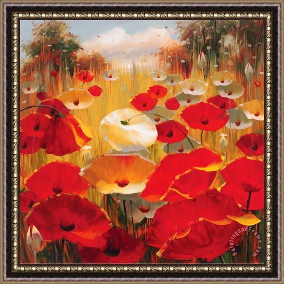 Lucas Santini Meadow Poppies III Framed Painting