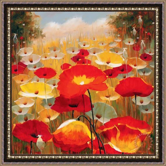 Lucas Santini Meadow Poppies Iv Framed Painting