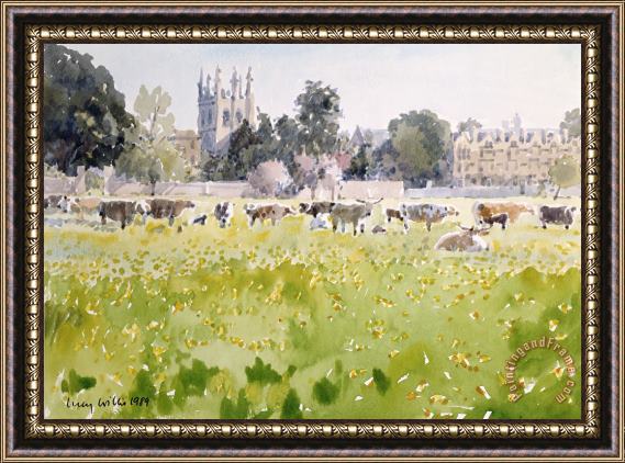 Lucy Willis Looking Across Christ Church Meadows Framed Print
