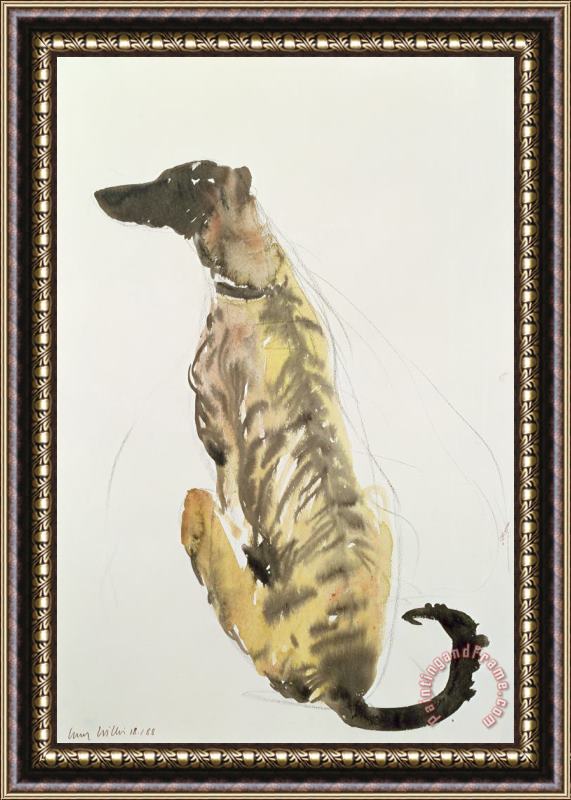 Lucy Willis Lurcher Sitting Framed Painting