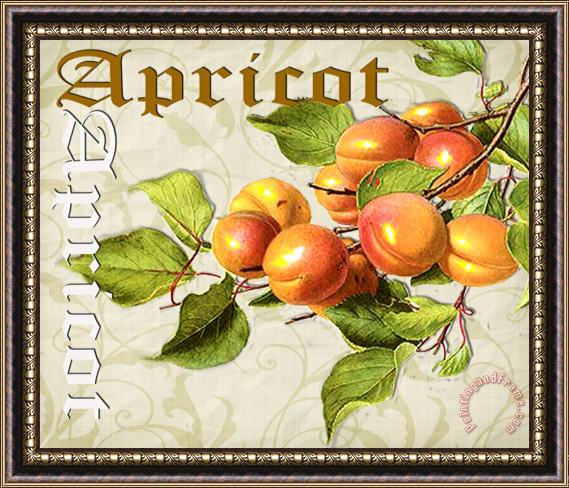Lynell Withers Apricot Framed Print