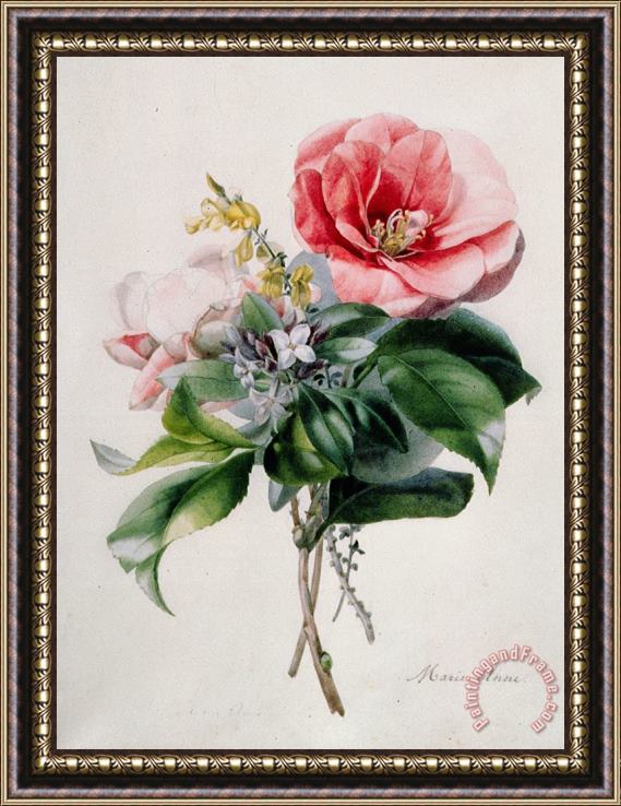 Marie-Anne Camellia and Broom Framed Painting