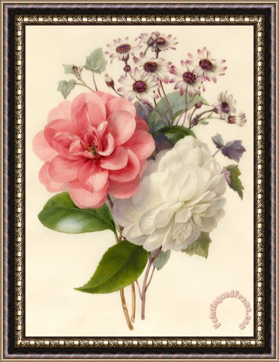 Marie-Anne Spray Of Three Flowers Framed Painting