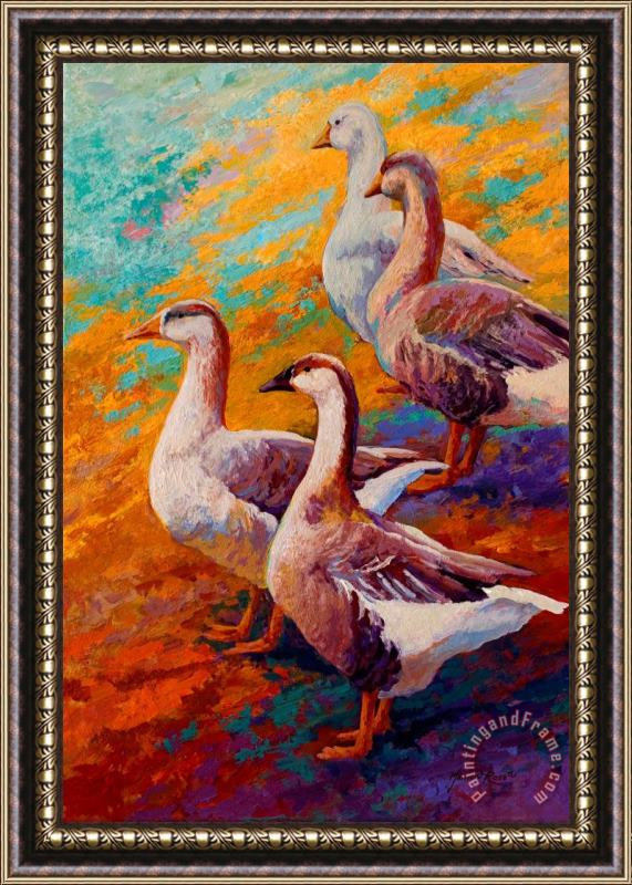 Marion Rose A Gaggle Of Four - Geese Framed Print
