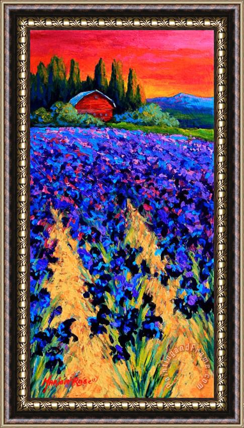 Marion Rose Iris Farm Framed Painting