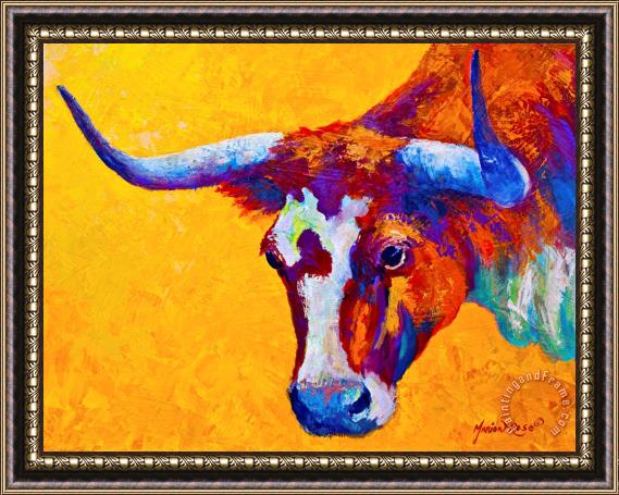 Marion Rose Texas Longhorn Cow Study Framed Print