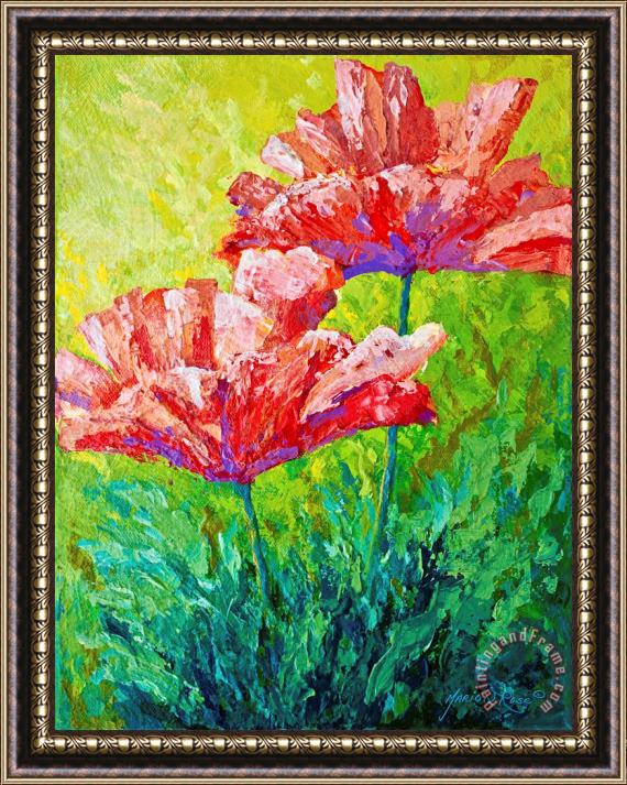 Marion Rose Two Red Poppies Framed Print