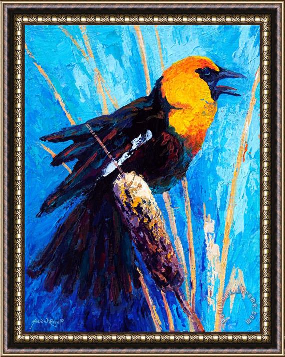 Marion Rose Yellow Headed Blackbird Framed Painting