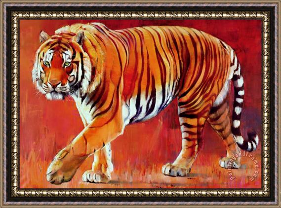 Mark Adlington Bengal Tiger Framed Print