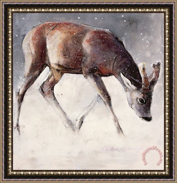 Mark Adlington Roe Buck - Winter Framed Print