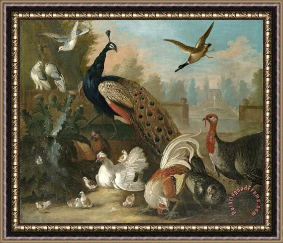 Marmaduke Craddock A Peacock And Other Birds Framed Painting