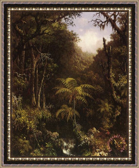 Martin Johnson Heade Brazilian Forest Framed Painting
