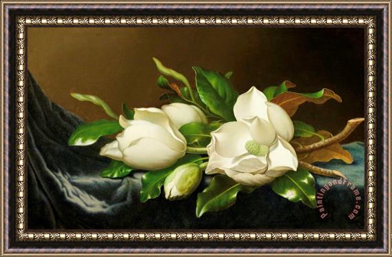 Martin Johnson Heade Magnolias on Blue Velvet Couch Framed Print