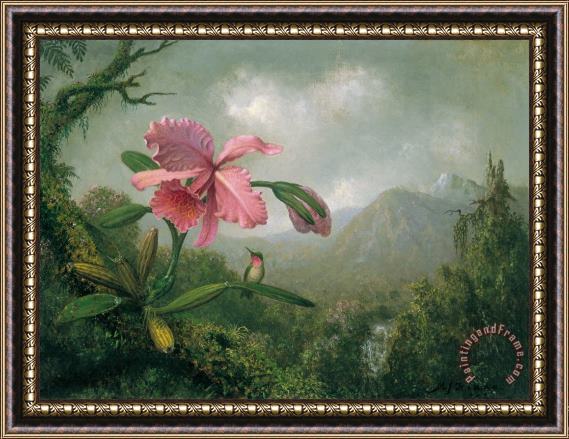 Martin Johnson Heade orchid and hummingbird near a mountain waterfall Framed Print
