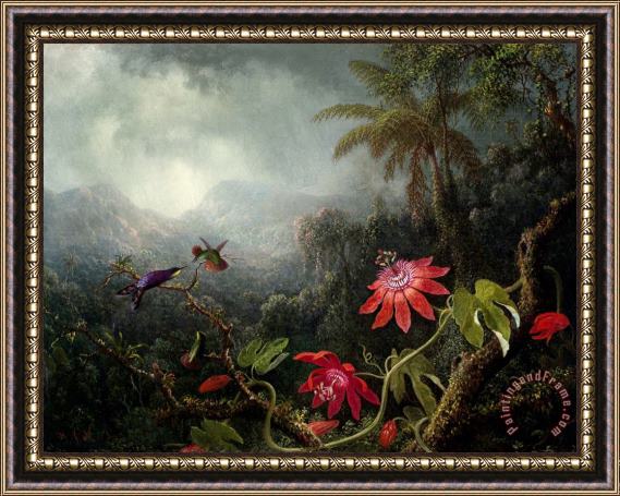 Martin Johnson Heade Passion Flowers with Three Hummingbirds Framed Painting