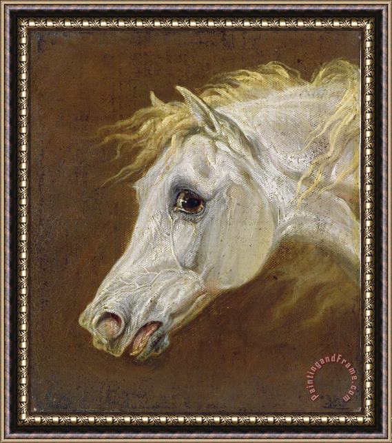 Martin Theodore Ward Head of a Grey Arabian Horse Framed Print