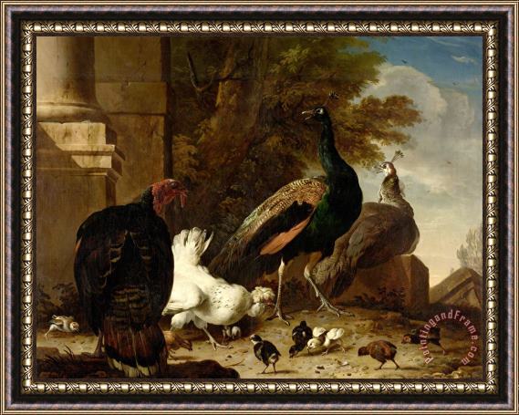 Melchior de Hondecoeter A Hen with Peacocks And a Turkey Framed Print