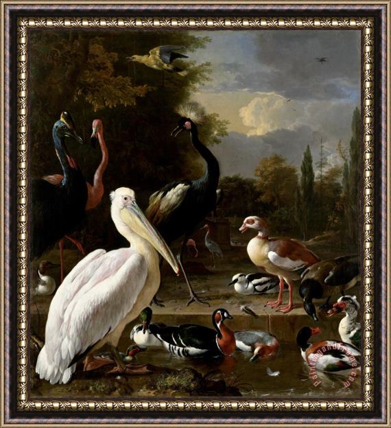 Melchior de Hondecoeter A Pelican And Other Birds Near a Pool, Known As 'the Floating Feather' Framed Painting
