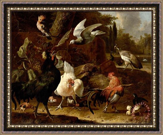 Melchior de Hondecoeter Birds in a Park Framed Painting