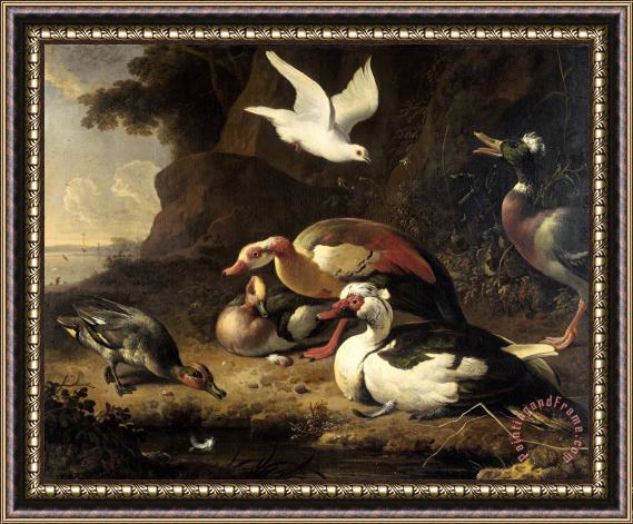 Melchior de Hondecoeter Ducks Framed Painting