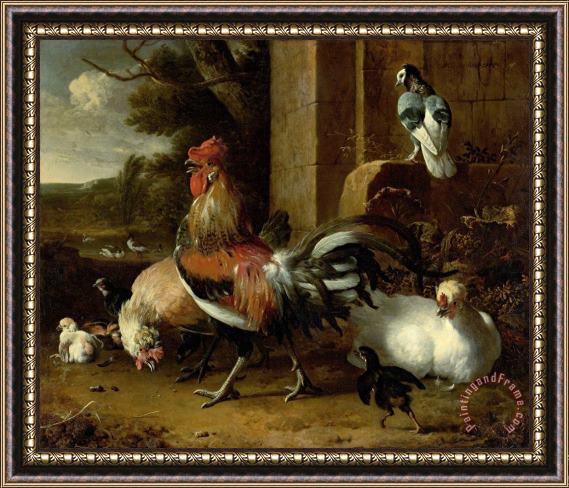 Melchior de Hondecoeter Poultry Yard Framed Painting
