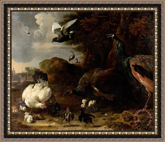 Melchior de Hondecoeter Two Peacocks Threatening a Hen with Chicks, Known As 'the Threatened Hen' Framed Print