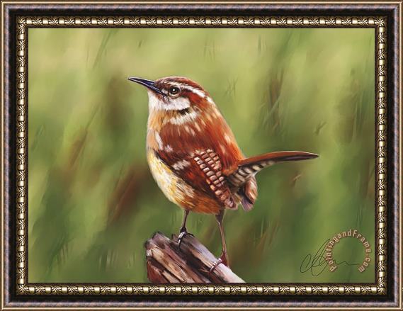 Michael Greenaway Brown bird hanging in the reeds Framed Painting