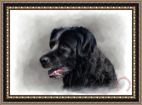 Michael Greenaway Dog Portrait Framed Painting