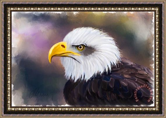 Michael Greenaway Eagle Portrait Framed Print