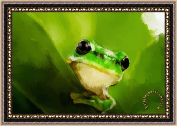 Michael Greenaway Frog Framed Painting
