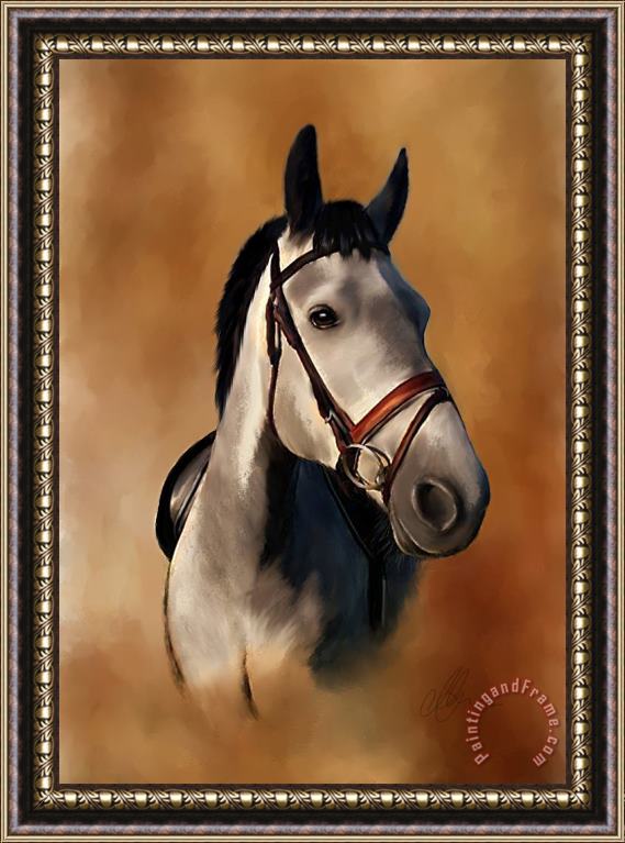 Michael Greenaway Horse Portrait Framed Print