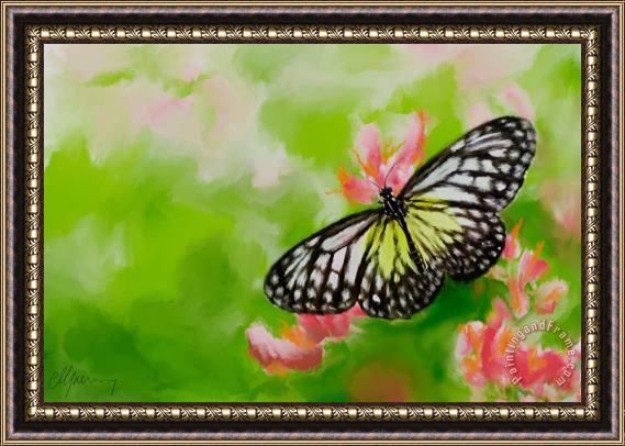 Michael Greenaway Life is Like a Butterfly Framed Print