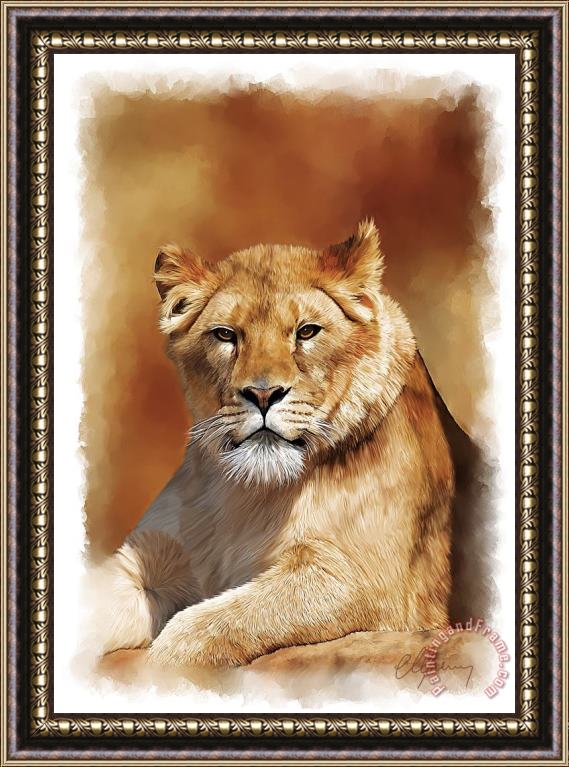 Michael Greenaway Lioness Portrait Framed Print