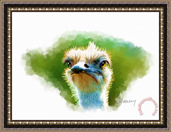 Michael Greenaway Ostrich Portrait Framed Painting