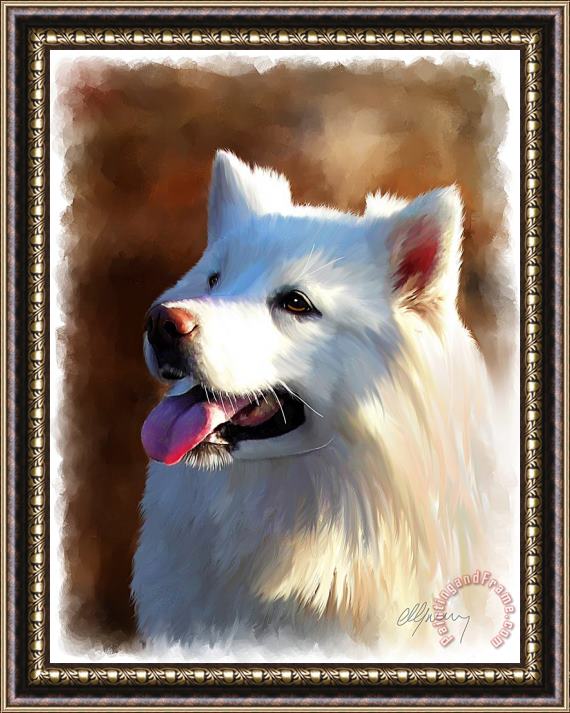 Michael Greenaway Samoyed Polar Dog Portrait Framed Print