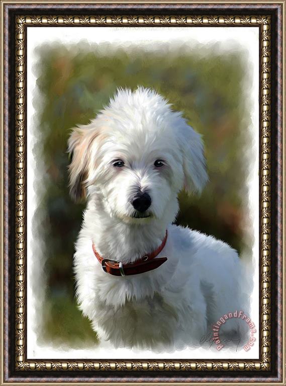 Michael Greenaway Terrier Dog Portrait Framed Print