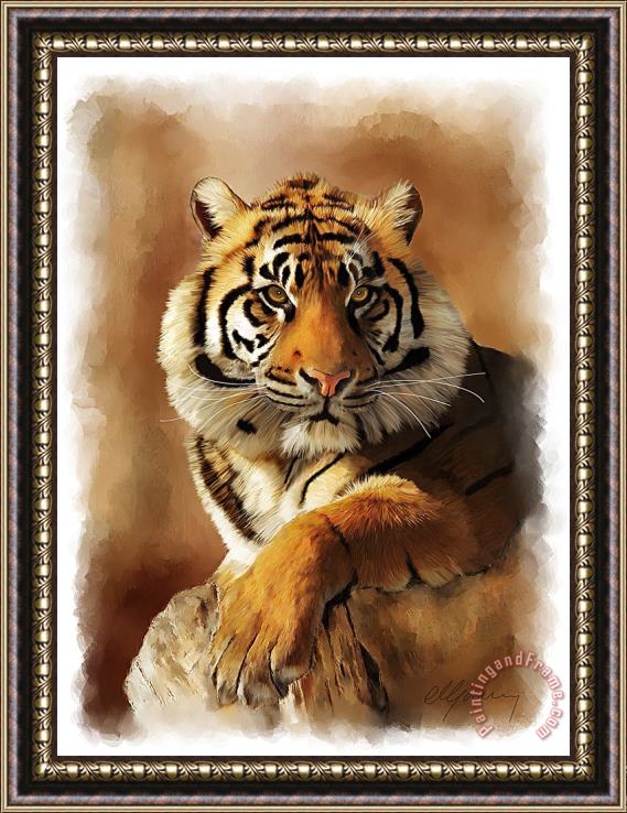 Michael Greenaway Tiger Portrait Framed Print