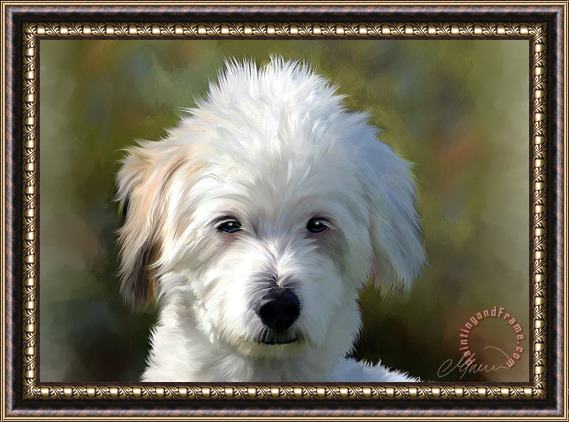 Michael Greenaway White Terrier Dog Portrait Framed Print