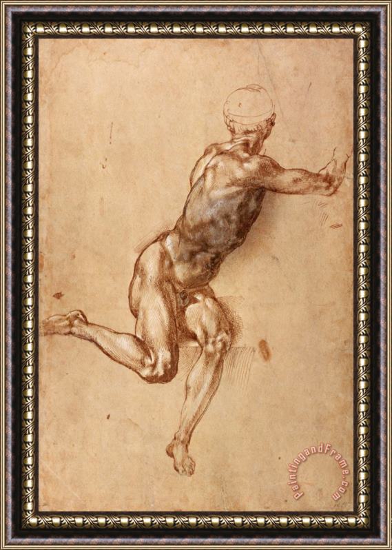 Michelangelo Buonarroti A Seated Male Nude Twisting Around C 1505 Framed Painting