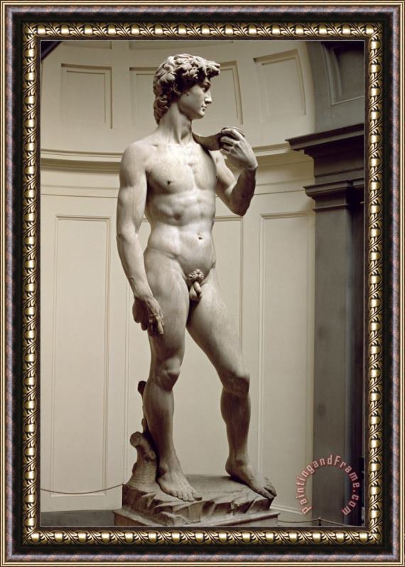 Michelangelo Buonarroti David 1501 4 Framed Painting