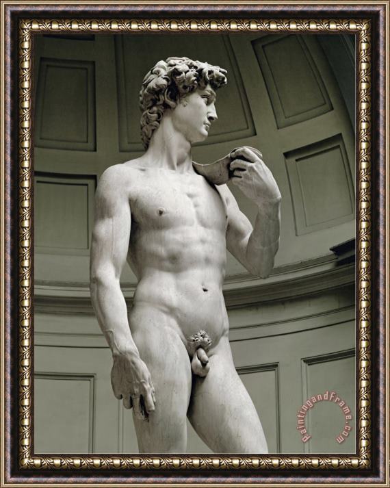 Michelangelo Buonarroti David 3 4 Profile Framed Painting