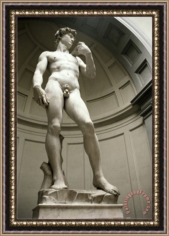 Michelangelo Buonarroti David Bottom View Framed Painting