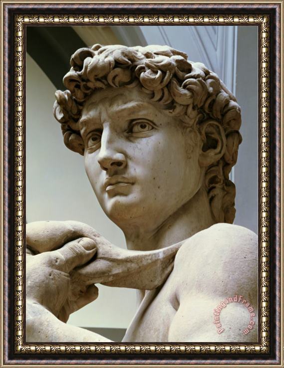 Michelangelo Buonarroti David Detail of The Head 1504 Framed Print